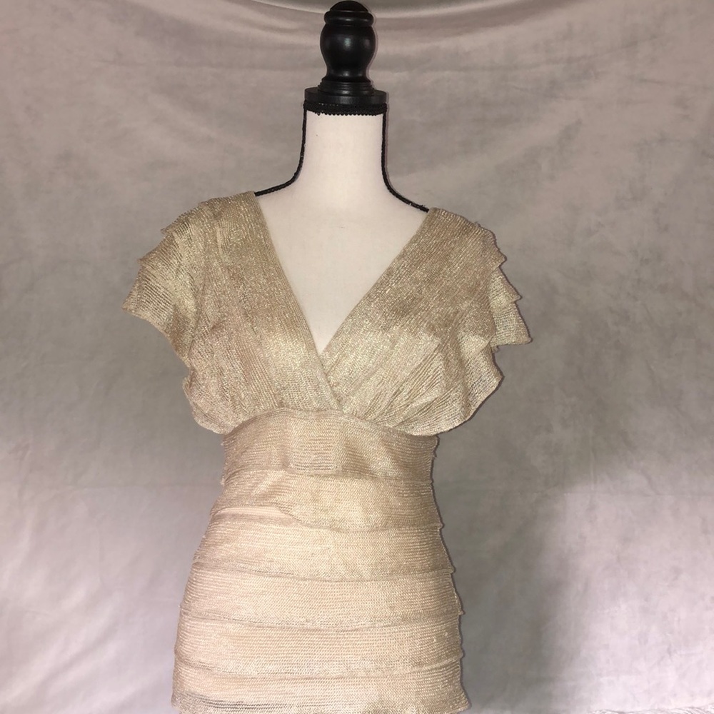 beautiful M short sleeve v-neck Max Studio top